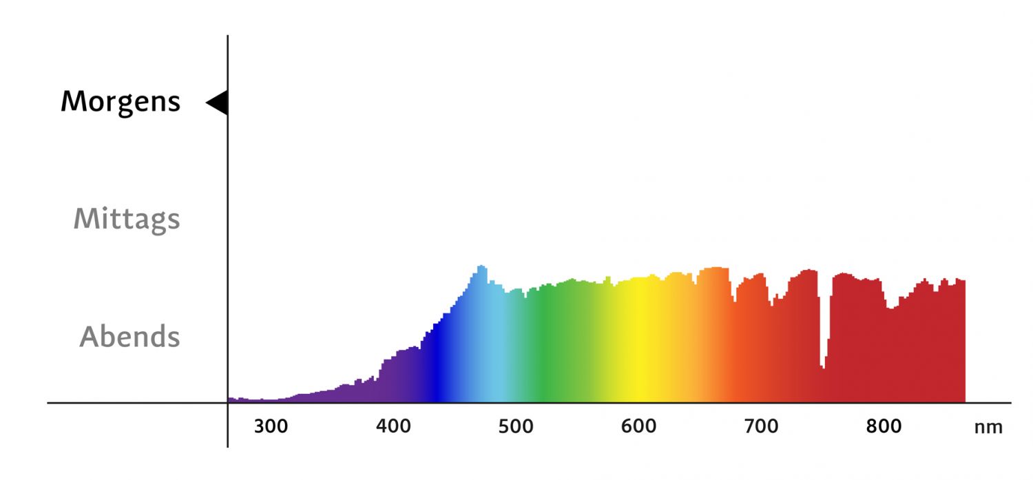 In the morning, spectral colours are distributed relatively evenly